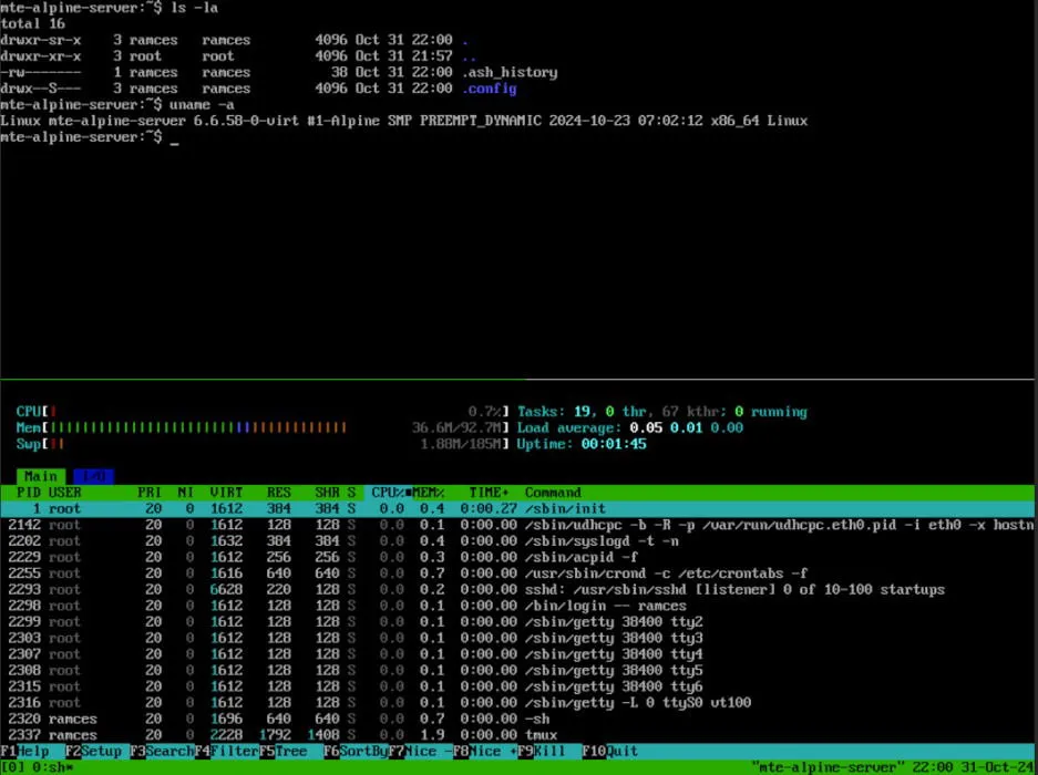 Терминал, на котором показана работающая Alpine Linux с объемом оперативной памяти всего лишь 128 МБ.