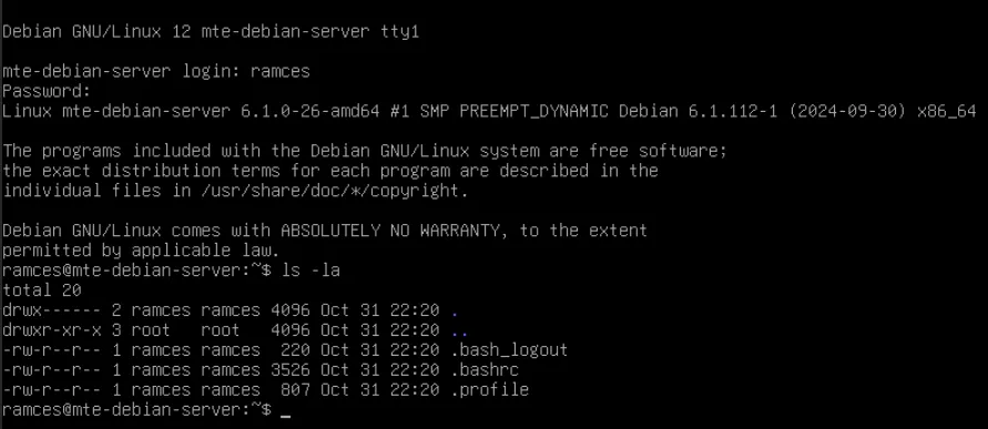 Терминал, отображающий экран по умолчанию для сервера Debian Linux.