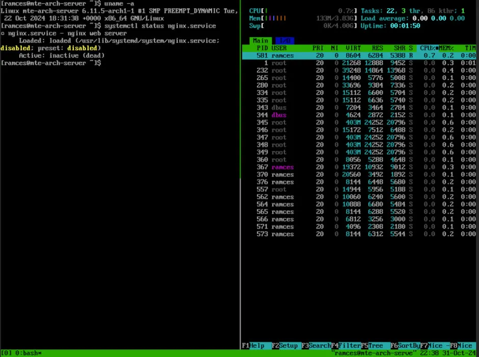 Терминал, показывающий минимальную установку Arch Linux, работающую в качестве серверной ОС.